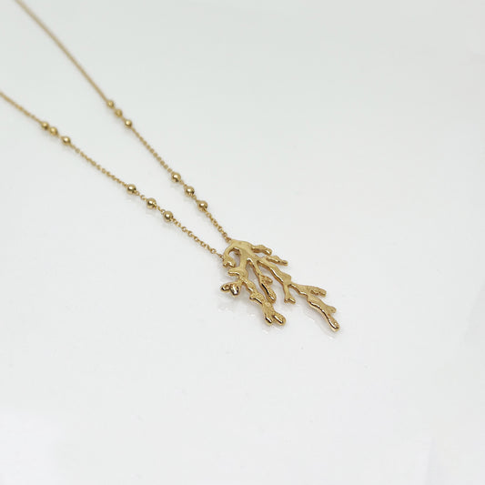 Coral Chain